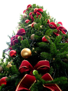 Christmas Tree Wallpapers