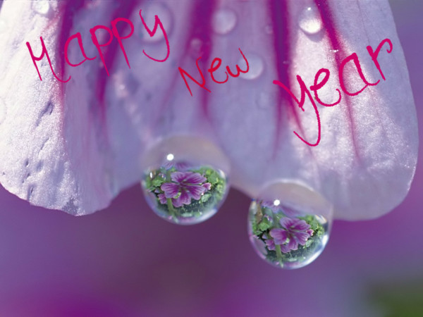 Happy New Year Wallpaper HD 2014