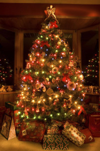 amazing Christmas Tree Wallpapers