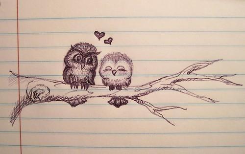 Amazing Owl’s Love Tumblr Wallpaper