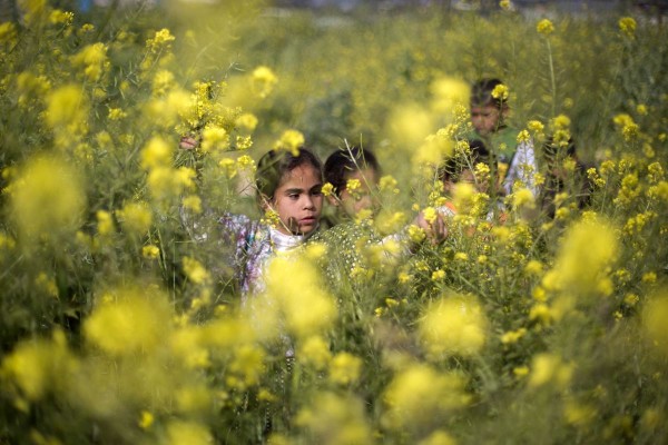 Asia Spring