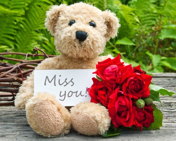 miss-you-teady-bear-wallpapers