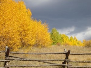 Fall colors in Virginia