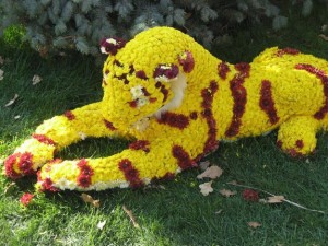 Flower beds with Lion