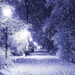 Beautiful Winter Scene