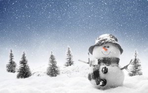 Amazing snowman image