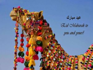 Eid ul Adha Pictures Free Download