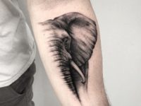 Elephant Tattoos on Arm