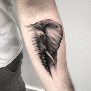 Elephant Tattoos on Arm