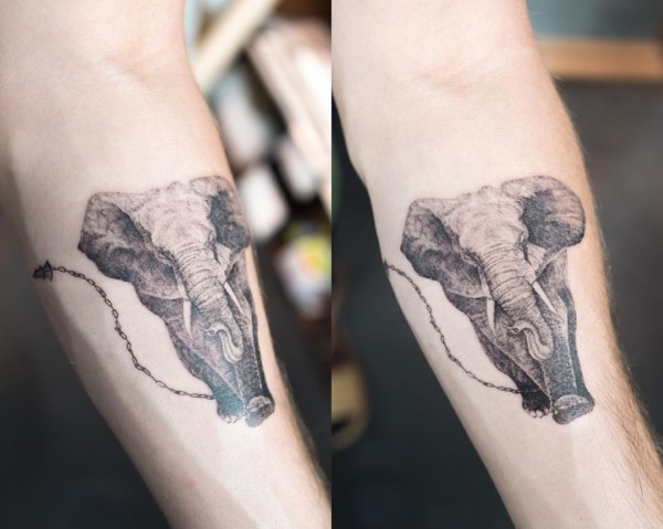 realistic elephant tattoo on the arm