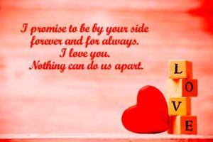 happy valentines day my love quotes