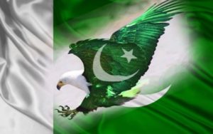 Eagle With Pakistan Flag